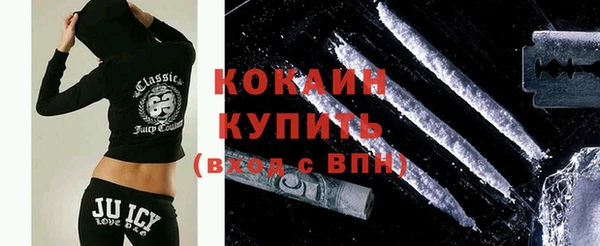 мдпв Бородино