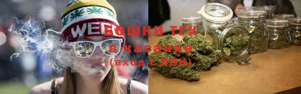 мдпв Бородино