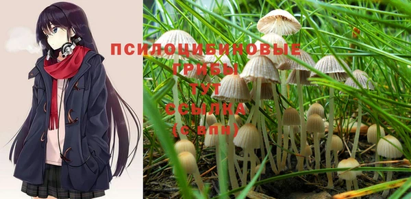 дживик Бугульма