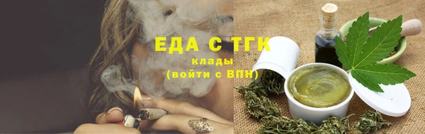 мдпв Бородино