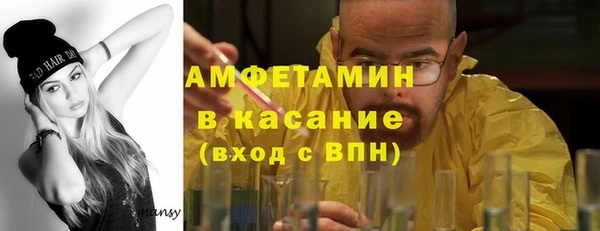 мдпв Бородино