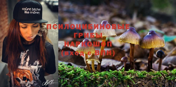 мдпв Бородино