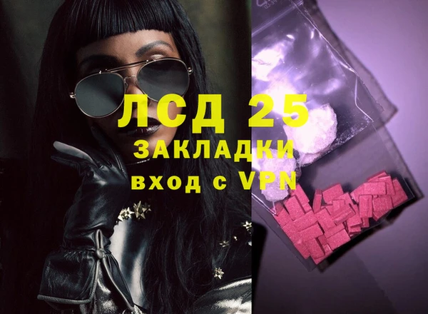 мдпв Бородино