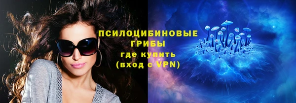 мдпв Бородино